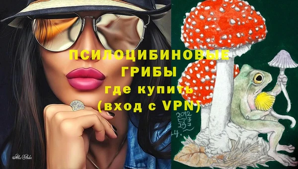СК Вязьма