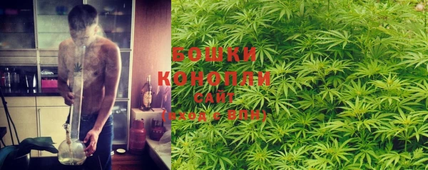 амф Горняк