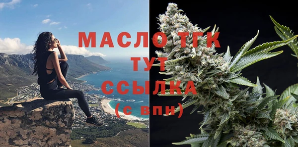 СК Вязьма