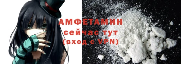СК Вязьма