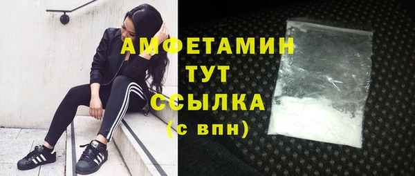 СК Вязьма